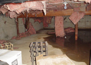 fiberglass insulation dripping off the ceiling of a crawl space in Grand Forks.