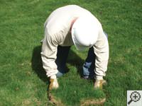 Restoring the landscaping by replacing removed sod on the ground for a Burnsville home.