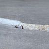 Slab floor cracks showing in a Shakopee home