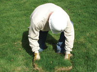 Restoring the landscaping by replacing removed lawn sections for a St. Cloud home.