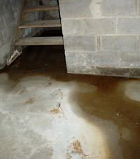 Flooding floor cracks by a hatchway door in Oronoco