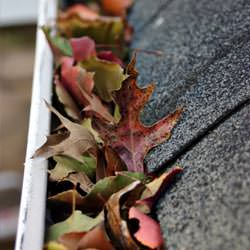 Clogged gutters filled with fall leaves  in Mason City
