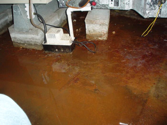 Iron Bacteria Ochre In Wet Basements, Black Water In Basement Floor Drain