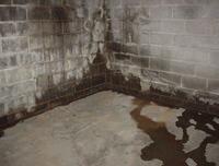 flooded basement with leaky basement walls in Winona, MN, ND, IA, and WI