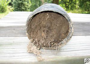 clogged french drain found in Oronoco, Minnesota, North Dakota, Iowa, and Wisconsin