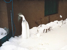 IceGuard® Installed St. Paul